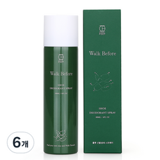 쿨풋 신발 냄새 제거 탈취제 본품, 180ml, 6개