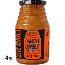 다미즐 자몽 액상차, 1kg, 1개입, 4개
