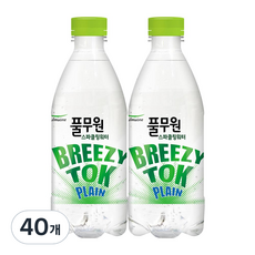 풀무원 탄산수 브리지톡 플레인 40개 500ml