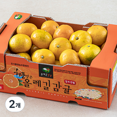 해풍맞은 올레길 Ai선별 당도선별 11brix 감귤, 2kg(랜덤과), 2개