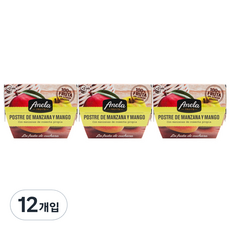아넬라 첫시작 리얼 과일 디저트 세트, 망고, 100g, 12개
