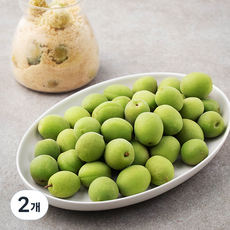 산지직송 청년농부 하동 청매실 엑기스용, 5kg, 2개