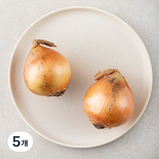 국내산 양파, 300g, 5개