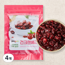 곰곰 건크랜베리, 200g, 4개