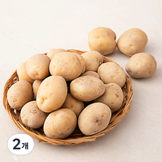 한입 감자(햇), 1kg, 2개 1kg, 2개