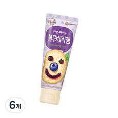 복음자리 바로 짜먹는 블루베리잼, 100g, 6개