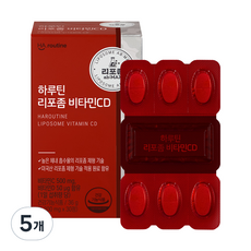 하루틴 리포좀 비타민CD 1200mg, 5개, 36g