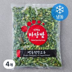 마당발 중국산 청양고추 (냉동), 1kg, 4개