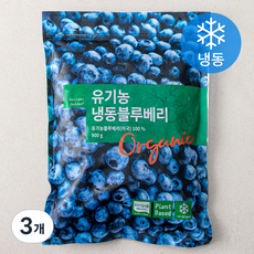 딜라잇가든 유기가공식품 인증 블루베리 (냉동), 900g, 3개