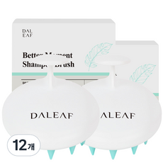  달리프 베러 모먼트 샴푸브러쉬, 12개 