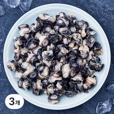 산지직송 부산 13번 중매인 논우렁살 해동 (냉장), 500g, 3개