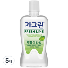 가그린 후레쉬 라임 구강청결제, 750ml, 5개