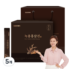 천호엔케어 녹용홍삼진 스틱 선물세트 60p + 쇼핑백, 720ml, 5개 5개, 720ml