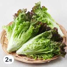친환경 포기상추, 250g, 2개 250g, 2개
