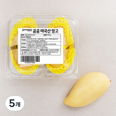 곰곰 태국산 망고 2입, 700g, 5개