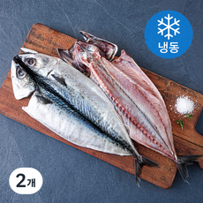 제주어부 자반고등어 2미 (냉동), 2개, 500g