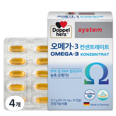  도펠헤르츠 오메가3 컨센트레이트 27.7g, 4개 