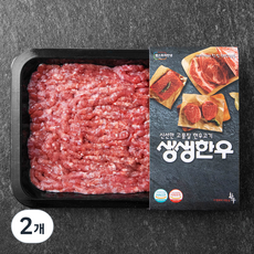 생생한우 1등급 다짐육 (냉장), 300g, 2개