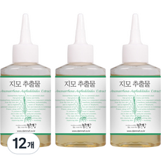 맑을담 지모추출물, 50ml, 12개 - 지모추출물