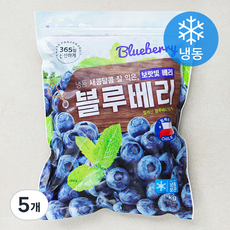 호재준 칠레산 블루베리 (냉동), 1kg, 5개