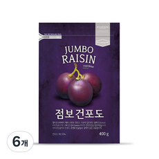 리치팜너트 점보건포도, 400g, 6개