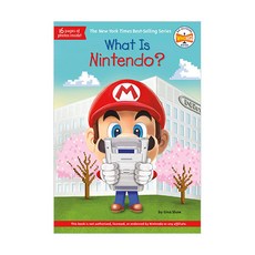 What Is Nintendo?, PENGUIN