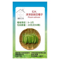 蔬菜工坊 E24 津津甜豌豆種子 90顆, 1個