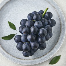 영길팜 당도선별 거봉, 500g, 1개
