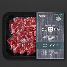 선진팜한우 사태 1등급 국거리용 (냉장), 300g, 1팩
