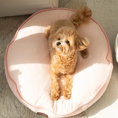 CHOCOPET house 狗狗無重力太空墊 2, 1個, 粉色