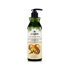 에코글램 스칼프 클렌징 샴푸 트윙클 시트러스향, 1개, 1000ml
