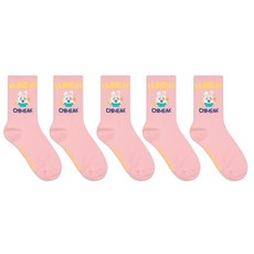 박군 여성용 학생용 치맥러버 중목 양말 5족 세트