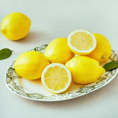 더네이처 칠레산 레몬, 1개, 700g