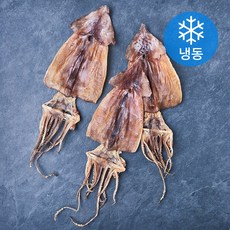 청해명가 동해안에서 말린 건오징어 3미 (냉동), 1개, 180g 1개, 180g