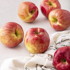 농협 daily 사과, 1.5kg(중과, 6~7입), 1팩