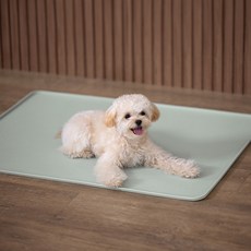 Tasumi 小狗 Tasumi 寵物矽膠餐具 小狗方墊, 薄荷灰, 1個