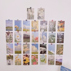 cfexpress카드ssddiy