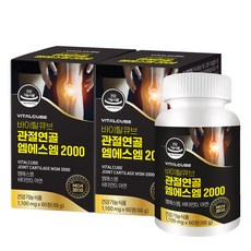 바이탈큐브 관절연골 엠에스엠 2000 66g, 2개