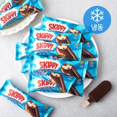 스키피 초코 앤 피넛버터바 (냉동), 90ml, 24개
