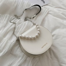 디올미니크로스백