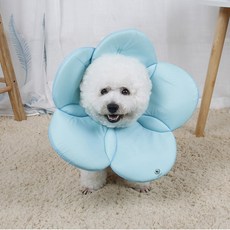 딩동펫 반려동물 벨크로 플라워 넥카라 블루 S, 1개