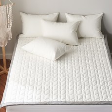 피그먼트카페트