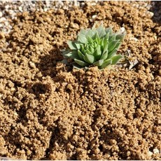위드블럭 원예용 분갈이 건강한 마사토, 2개, 2kg