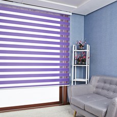 샐리나스블라인드차이점