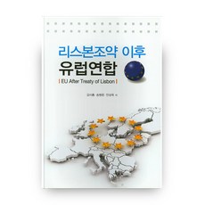 유럽국제정치책