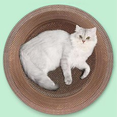 펫츠몬 고양이 꾹꾹이 눕기 편한 특대형 스크래쳐 원형 55cm, 혼합색상, 1개