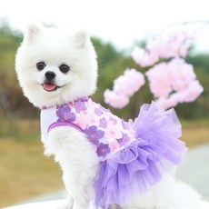PASTEL PET 寵物花朵蕾絲連身裙, 1個, 紫色