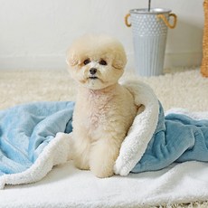 펫츠랜드 더블 플란넬 강아지 이불, 블루