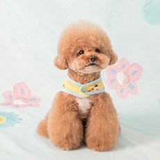 바잇미 포코리프렌즈 강아지 노터치 쿨링랩 티셔츠, 포코리(옐로), 1개