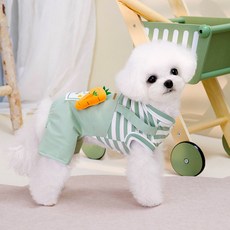 DING DONG PET 寵物胡蘿蔔背帶褲四角褲, 1個, 綠色